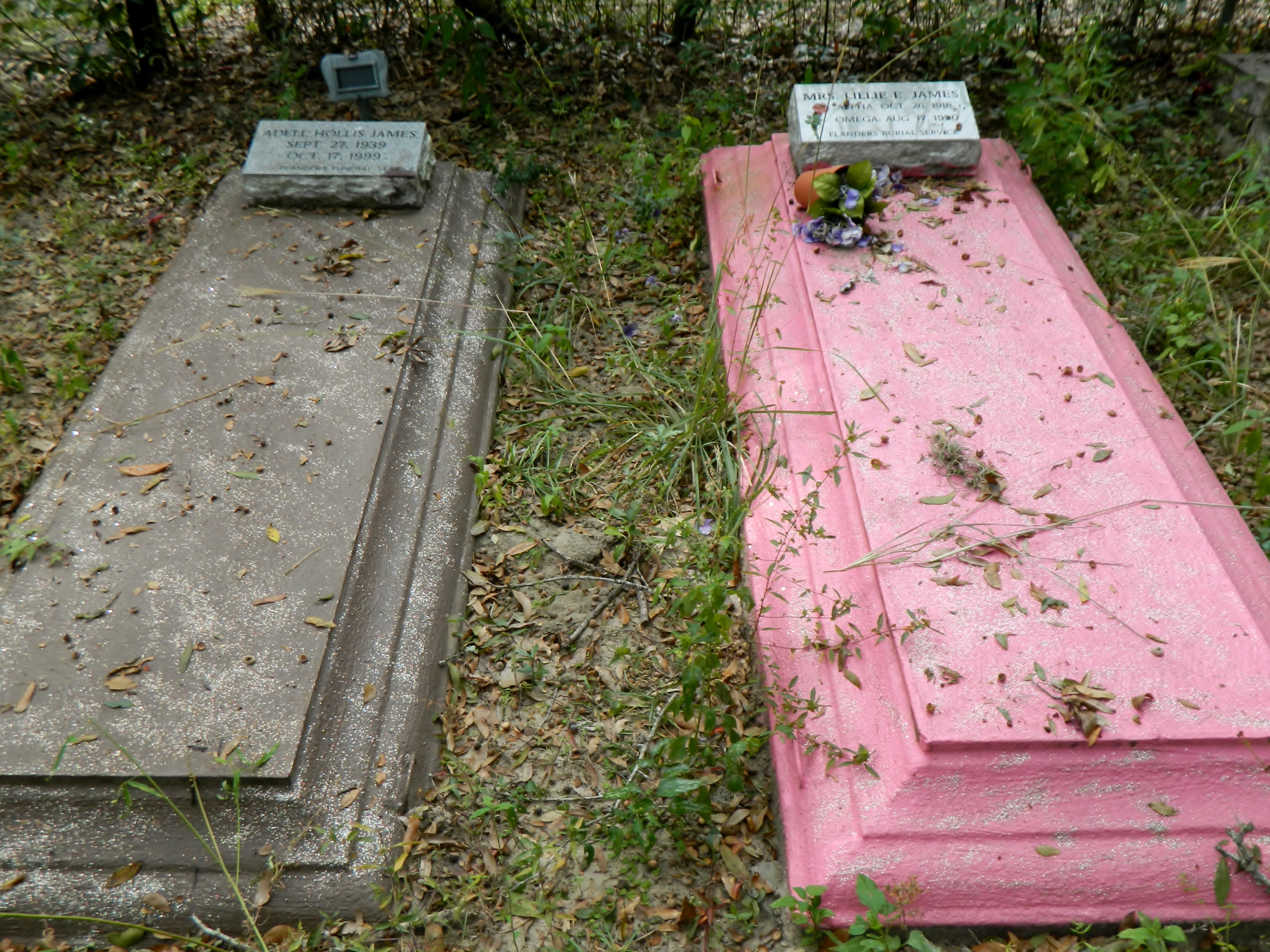 http://candlesmokechapel.files.wordpress.com/2012/11/purple-and-pink-graves.jpg